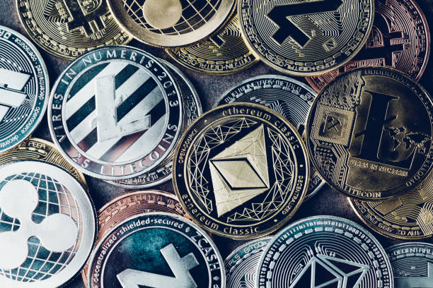 What is Altcoin compared to $floki