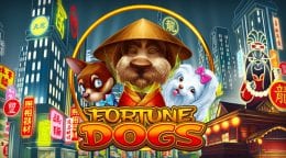 Fortune Dogs screenshot