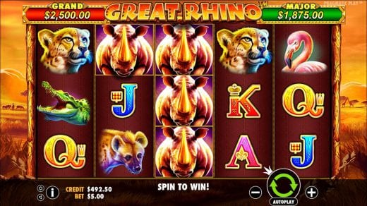 Great Rhino review
