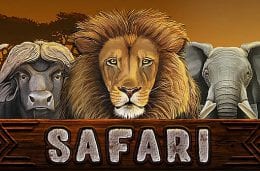 Safari screenshot