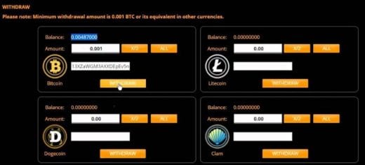 withdrawal options at fortunejack