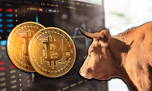 The Bitcoin bull run seems to be coming to an end