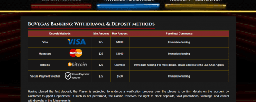 BoVegas Screenshot 1
