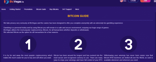 BTCVegas Screenshot 1
