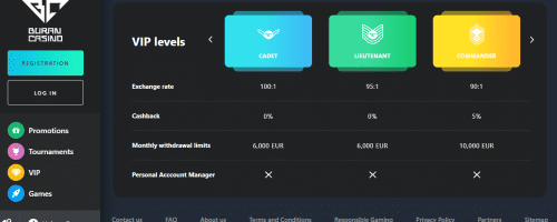 Buran Casino Screenshot 1