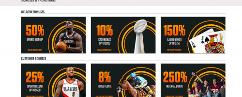 MyBookie Screenshot 1