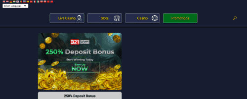 321CryptoCasino Screenshot 1