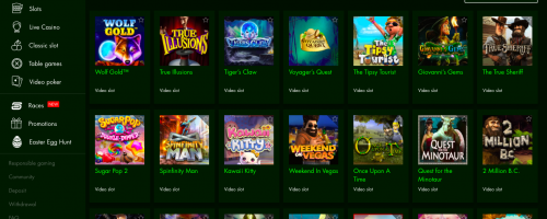 7Spins Casino Screenshot 1