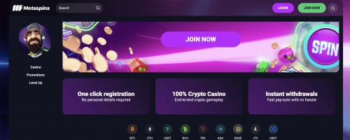 Metaspins Casino Screenshot 1