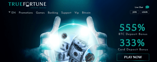 True Fortune Casino Screenshot 1