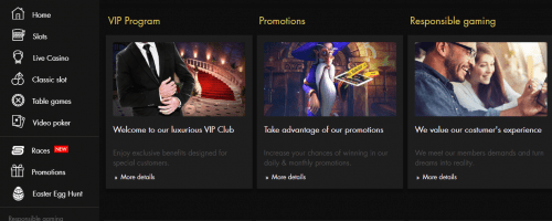Vive Mon Casino Screenshot 1