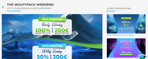 Wolfy Casino Screenshot 1